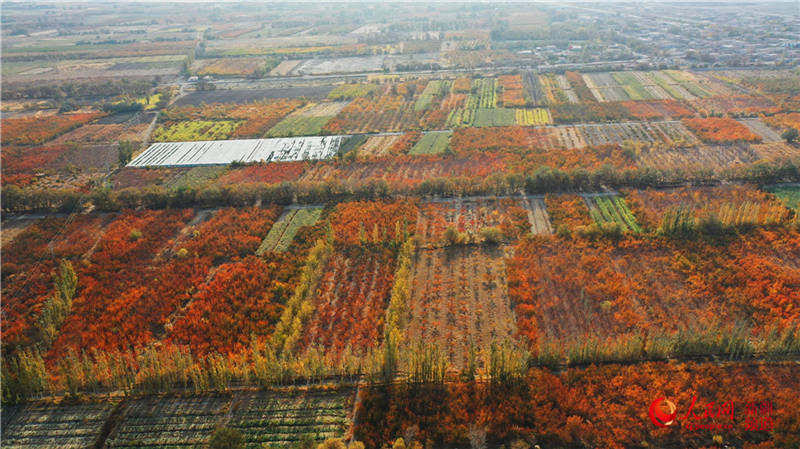 �½��п��d�f���ӈ@���[���֮��(����W���㿴�½�)��2��