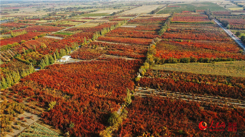 �½��п��d�f���ӈ@���[���֮��(����W���㿴�½�)��3��