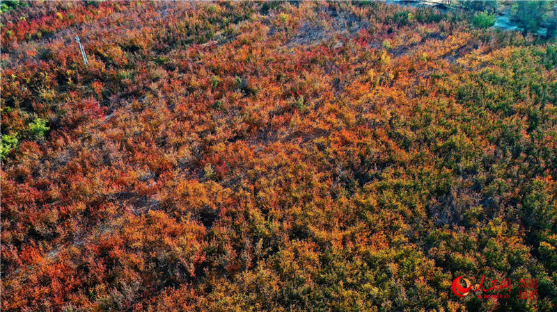 �½��п��d�f���ӈ@���[���֮��(����W���㿴�½�)��10��