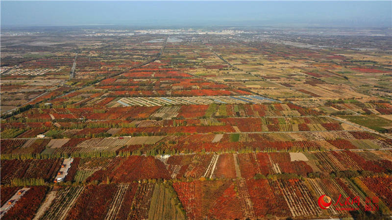 �½��п��d�f���ӈ@���[���֮��(����W���㿴�½�)��11��