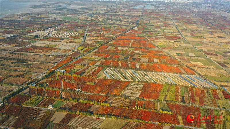 �½��п��d�f���ӈ@���[���֮��(����W���㿴�½�)��4��