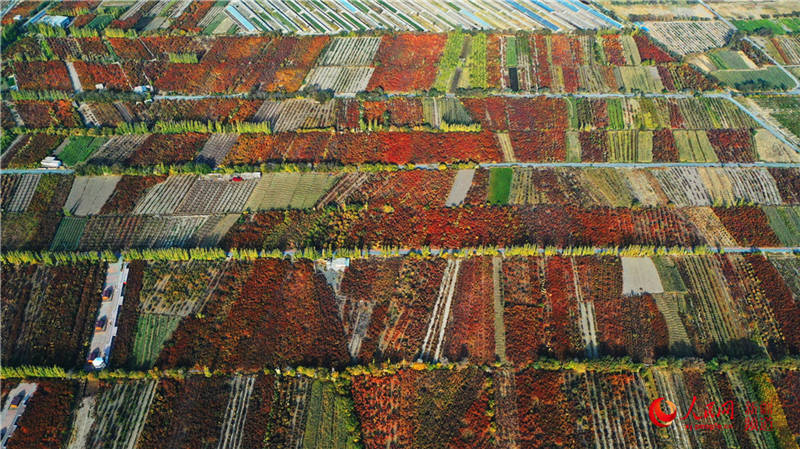 �½��п��d�f���ӈ@���[���֮��(����W���㿴�½�)