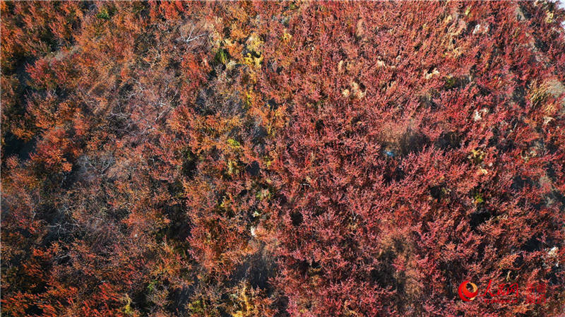 �½��п��d�f���ӈ@���[���֮��(����W���㿴�½�)��5��