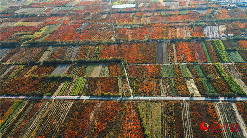 �½��п��d�f���ӈ@���[���֮��(����W���㿴�½�)��12��