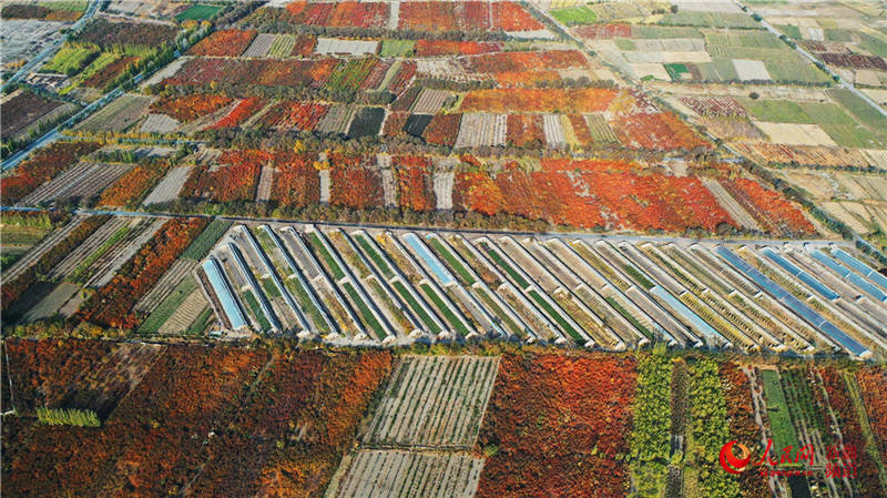 �½��п��d�f���ӈ@���[���֮��(����W���㿴�½�)��13��