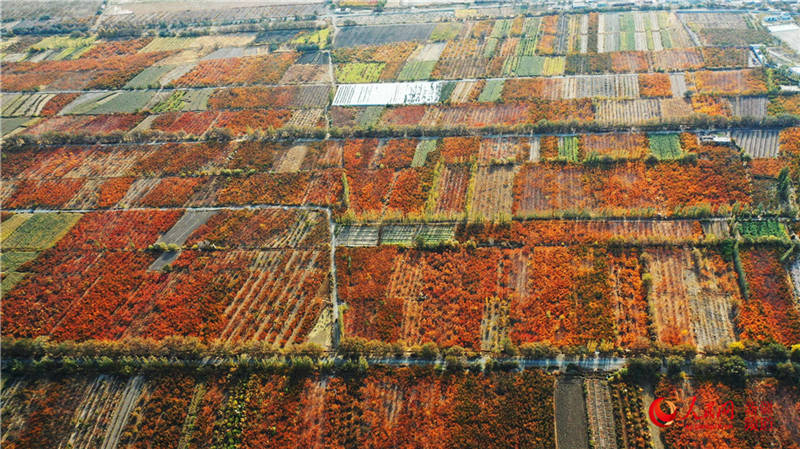 �½��п��d�f���ӈ@���[���֮��(����W���㿴�½�)��6��