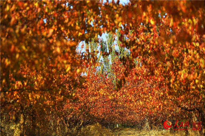 �½��п��d�f���ӈ@���[���֮��(����W���㿴�½�)��15��