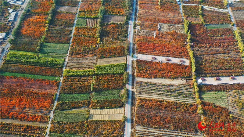 �½��п��d�f���ӈ@���[���֮��(����W���㿴�½�)��14��