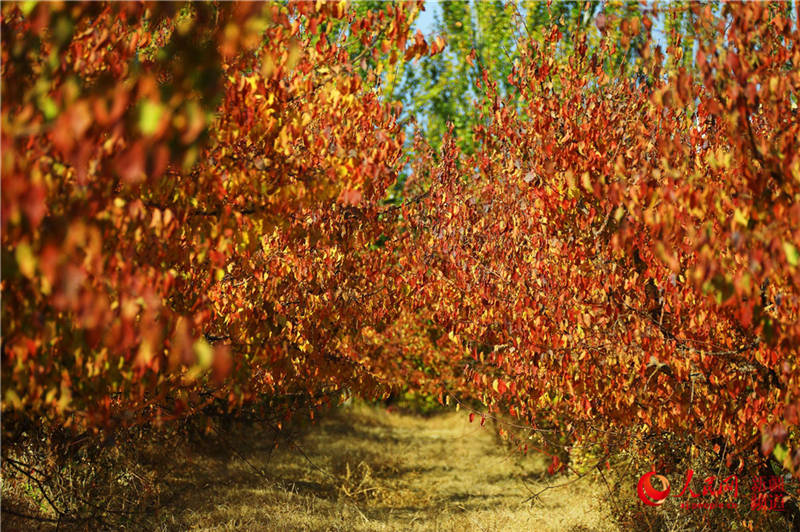 �½��п��d�f���ӈ@���[���֮��(����W���㿴�½�)��16��