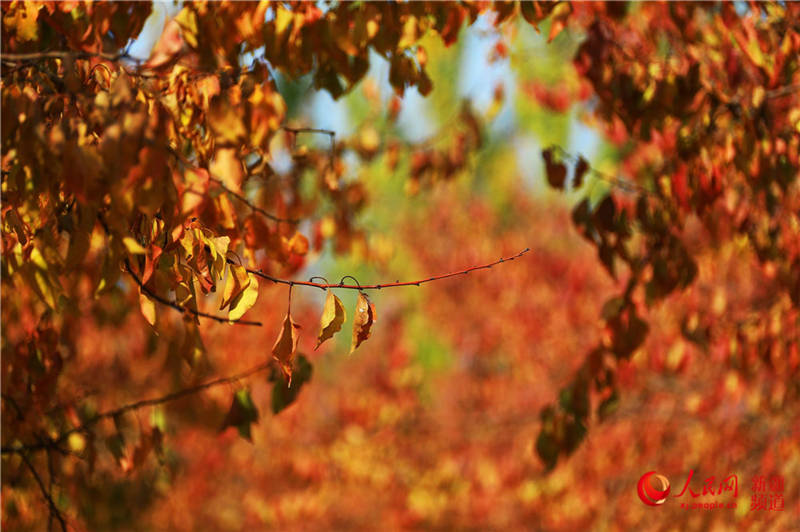 �½��п��d�f���ӈ@���[���֮��(����W���㿴�½�)��7��