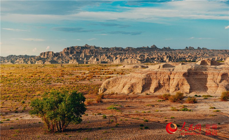 ���������О����̣������񹤵��������ŵ���ò(����W���㿴�½�)��3��