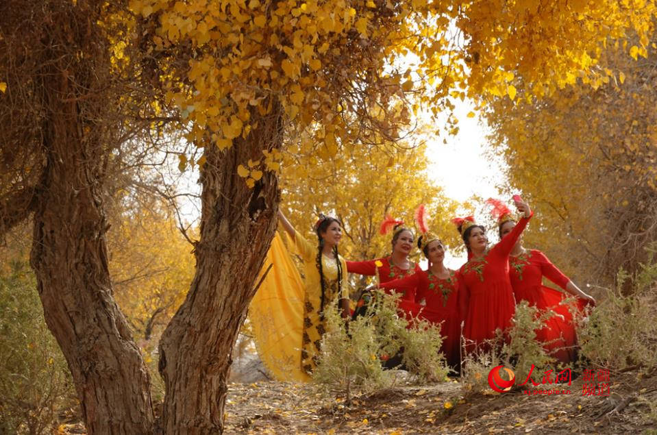 �½�����ľ����ӭ�́�������W���㿴�½�����3��