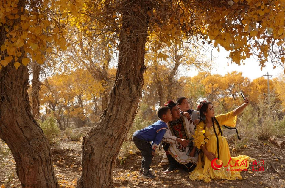 �½�����ľ����ӭ�́�������W���㿴�½���