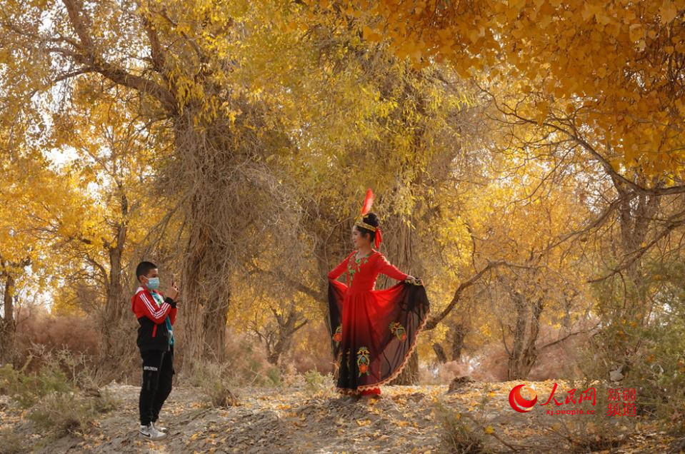 �½�����ľ����ӭ�́�������W���㿴�½�����4��