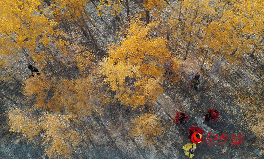 �½�����ľ����ӭ�́�������W���㿴�½�����5��