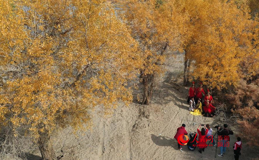 �½�����ľ����ӭ�́�������W���㿴�½�����2��