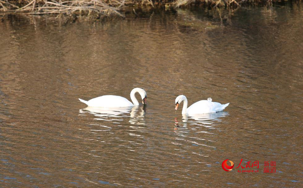 ��غ��L�� ���Z���¼ң�����W���㿴�½�����5��