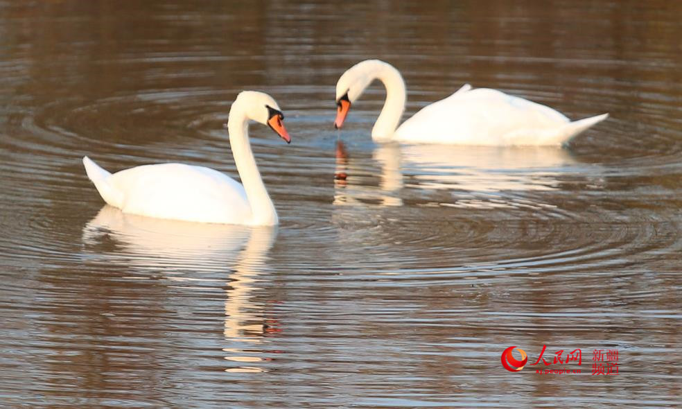 ��غ��L�� ���Z���¼ң�����W���㿴�½�����4��