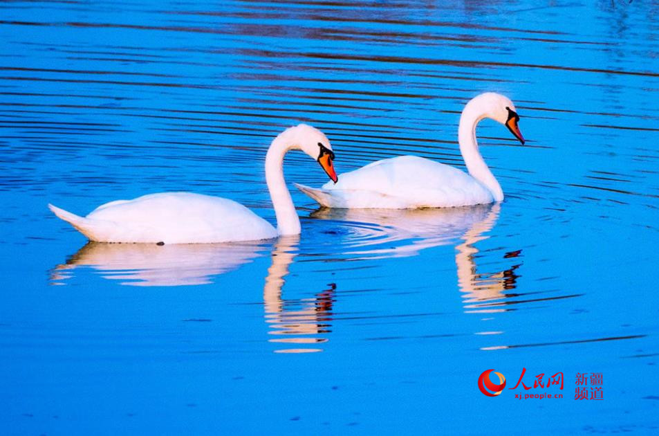 ��غ��L�� ���Z���¼ң�����W���㿴�½�����2��