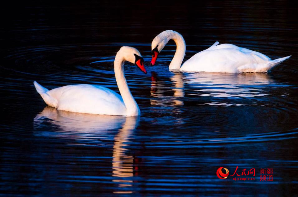 ��غ��L�� ���Z���¼ң�����W���㿴�½���