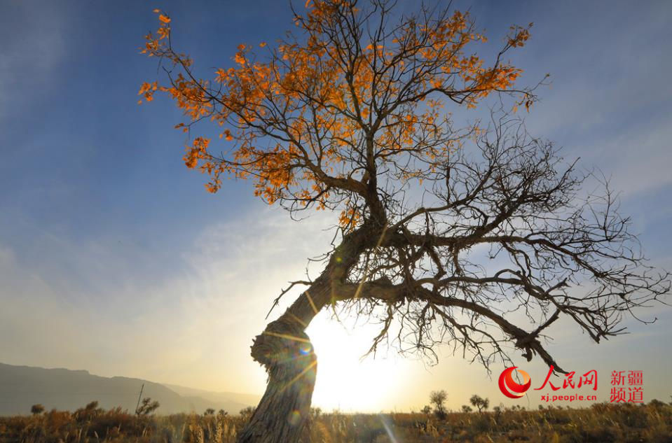 ��ɫ��Ⱦ ��ɫ�������W���㿴�½�����3��