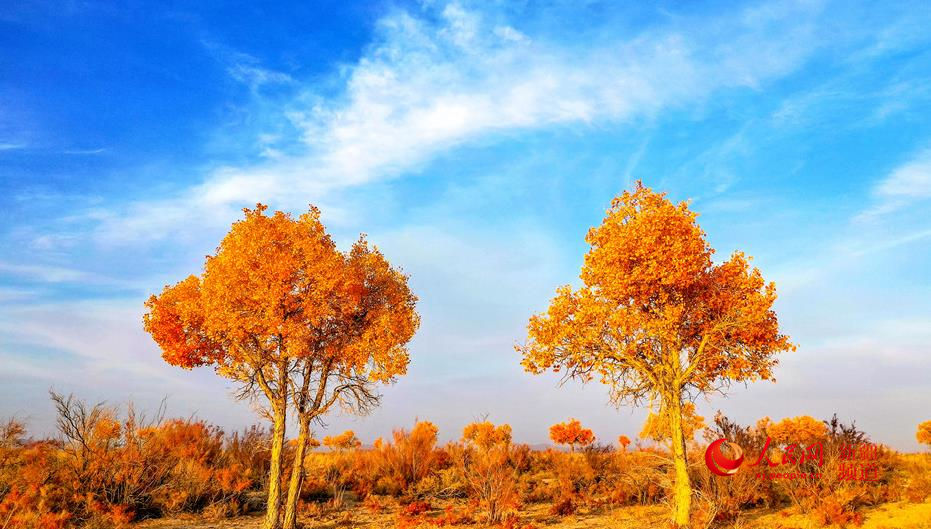 ��ɫ��Ⱦ ��ɫ�������W���㿴�½�����6��