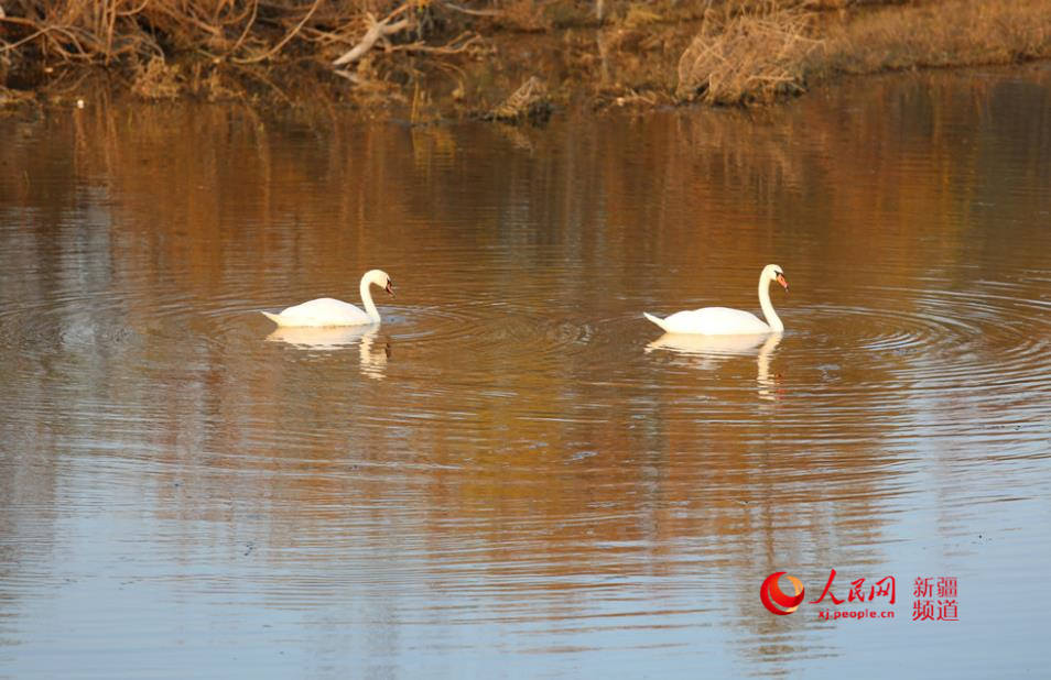 ��غ��L�� ���Z���¼ң�����W���㿴�½�����6��