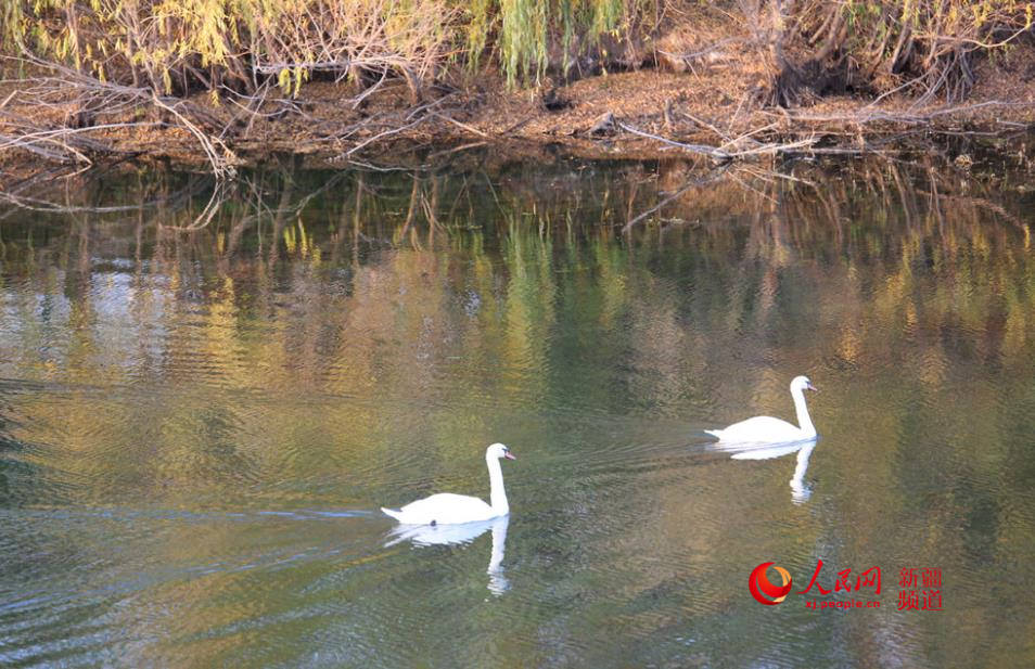 ��غ��L�� ���Z���¼ң�����W���㿴�½�����7��