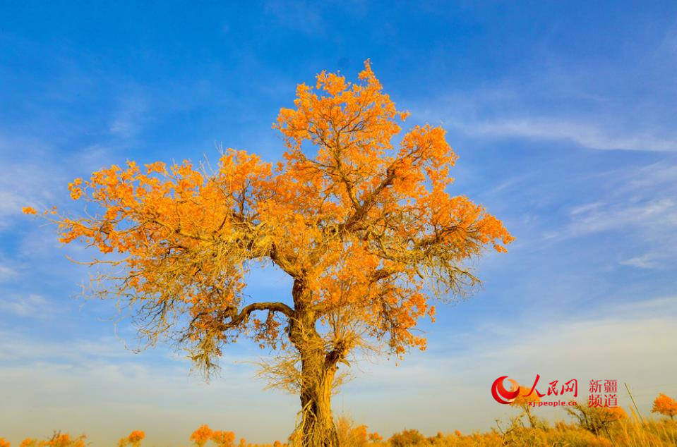 ��ɫ��Ⱦ ��ɫ�������W���㿴�½�����9��