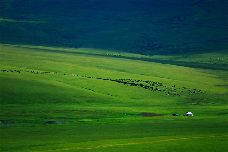 新疆托克遜縣黑山草原 山花爛漫云霧繚繞【4】