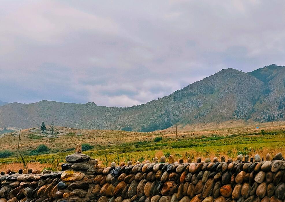 可可托海風景美 秋色如畫來