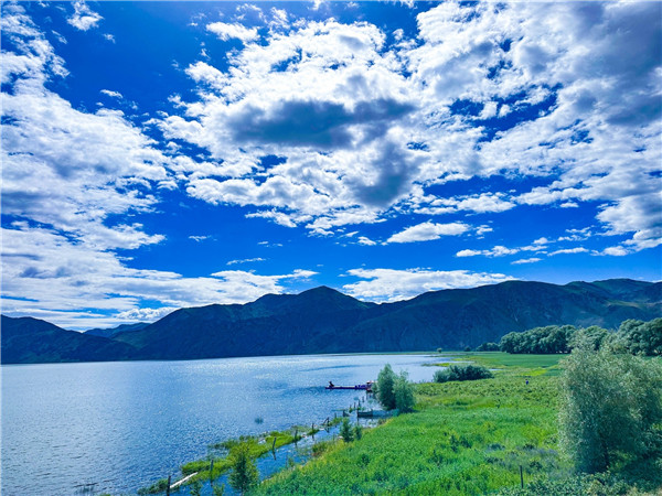 大美中國·i自然｜新疆阿勒泰：吹自由的風，品絢爛的美