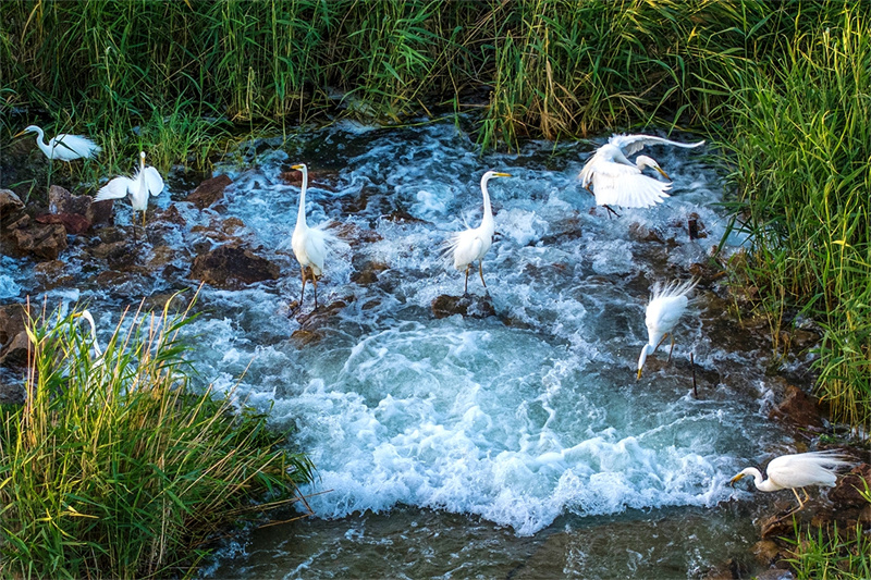 克拉瑪依水環境質量持續穩定，多項水質優良比例為100%