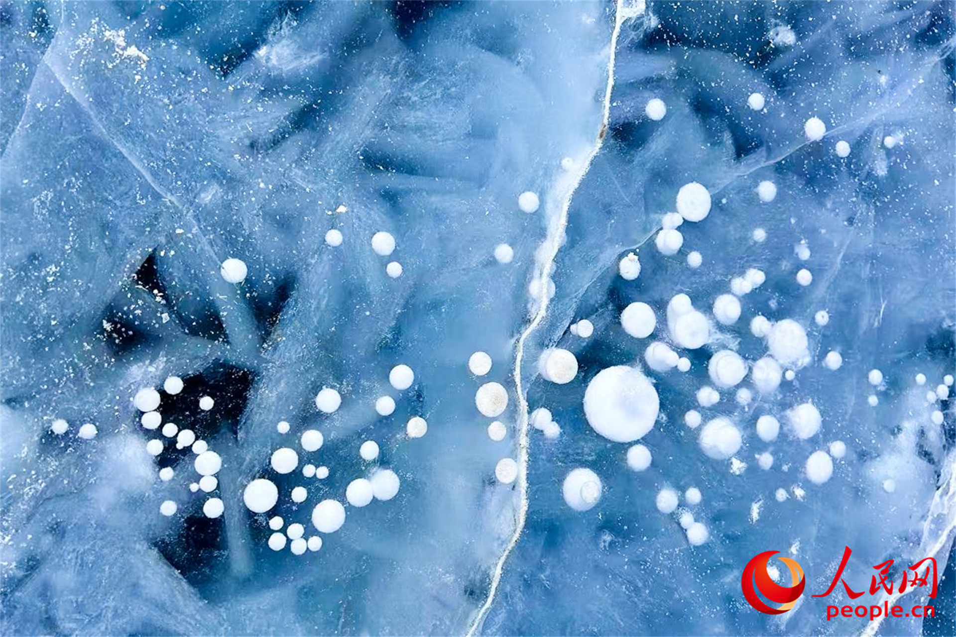 新疆賽里木湖：春至湖畔 候鳥蹁躚【2】