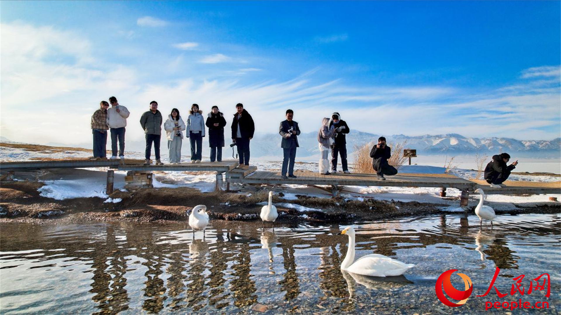 新疆賽里木湖：春至湖畔 候鳥蹁躚【4】
