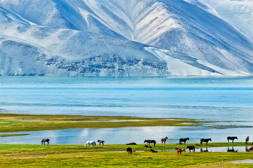 人民日報海外版丨白沙湖生態治理成效顯著